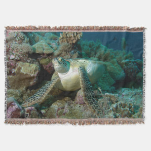 Couverture Tortue verte de mer après s'être reposée parmi le