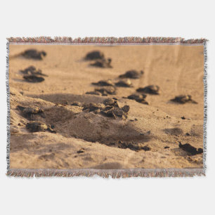 Couverture Tortues de mer