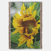 Couverture Tournesol (devant Vertical)