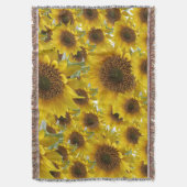 Couverture Tournesol Lot (devant Vertical)