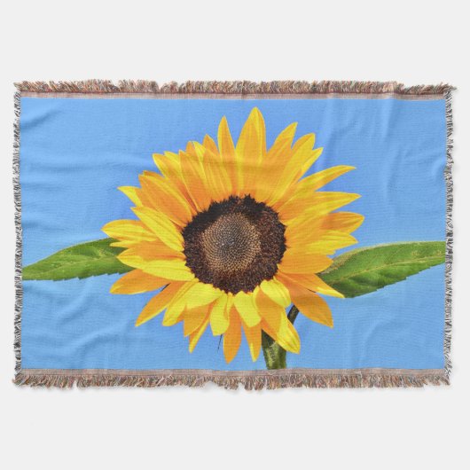 Couverture Tournesol Lot (Devant)