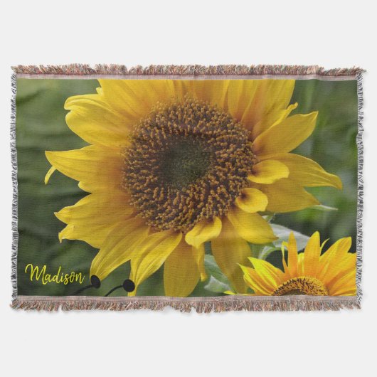 Couverture Tournesol Lot (Devant)