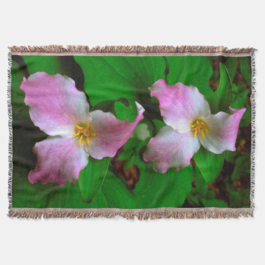 Couverture Trillium fleur sauvage (Devant)
