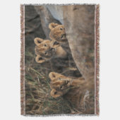 Couverture Trio de lionceaux avec leur mère (devant Vertical)