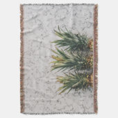 Couverture Trois ananas en marbre (devant Vertical)