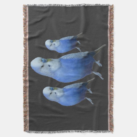 Couverture trois perruches bleues (devant Vertical)