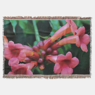 Couverture Trompette rose Honeysuckie Art botanique