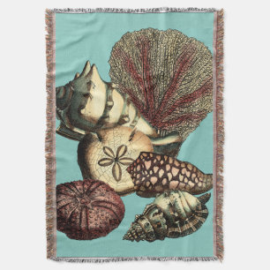 Couverture Turquoise Shell et collection de corail rouge