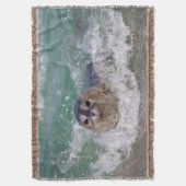 Couverture Un bébé phoque surfant (devant Vertical)