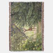 Couverture Un cerf solitaire (devant Vertical)