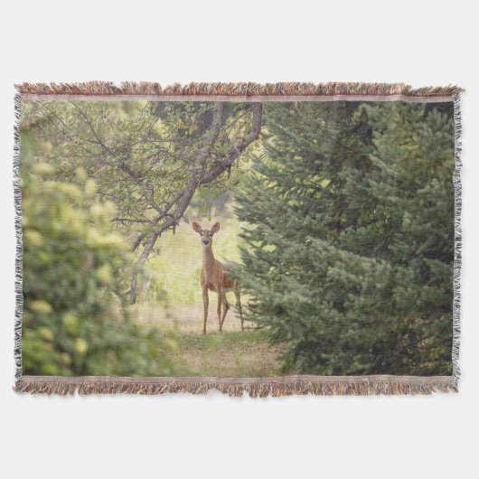 Couverture Un cerf solitaire (Devant)