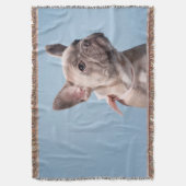 Couverture Un joli chien de taureau français (devant Vertical)