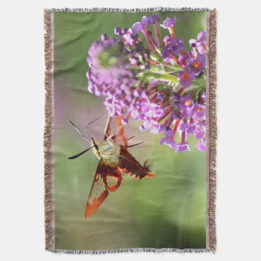 Couverture Un papillon de nuit sur un papillon (devant Vertical)