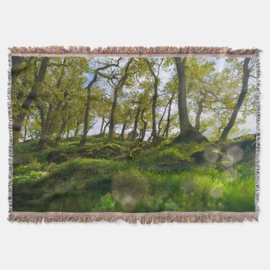 Couverture Un Whisper rêvé à travers les arbres (Devant)