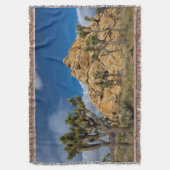 Couverture USA, Californie, Parc national Joshua Tree (devant Vertical)