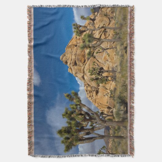 Couverture USA, Californie, Parc national Joshua Tree (devant Vertical)