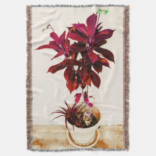 Couverture Usine de Jatropha dans rouge-foncé
