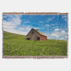 Couverture Vieille grange rouge dans un champ de pois chiches