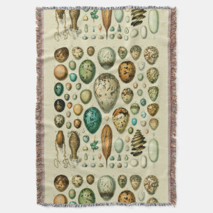 Couverture Vintage Bird Eggs French Fish Egg