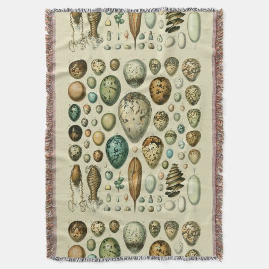 Couverture Vintage Bird Eggs French Fish Egg (devant Vertical)