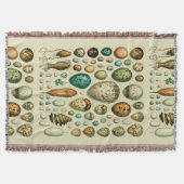 Couverture Vintage Bird Eggs French Fish Egg (Devant)