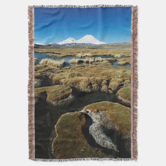 Couverture Volcan de Payachalas (devant Vertical)