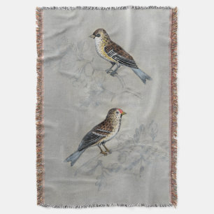 Couverture Volière argentée deux oiseaux