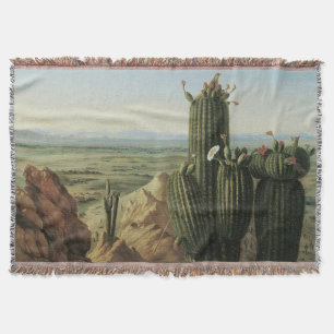 Couverture Vue depuis le mont Maricopa près de Rio Gila par P