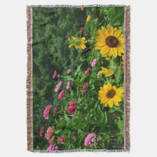 Couverture Vue jardin, marguerite, tournesol, pins (devant Vertical)
