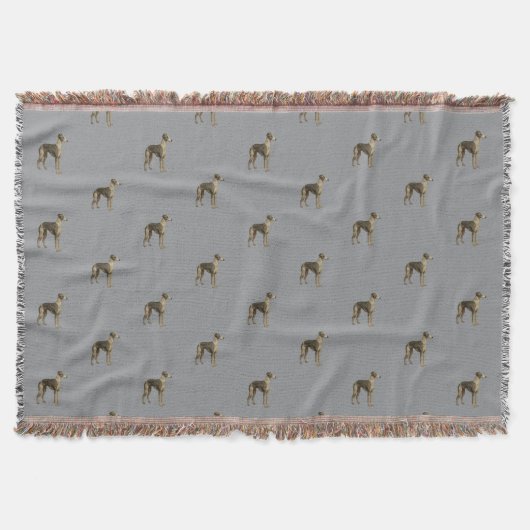 Couverture Whippet blanket - Whippet against grey background (Devant)