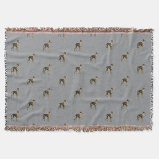 Couverture Whippet - Whippet sur fond gris (Devant)