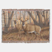 Couverture White Deer Buck & Doe Automne Maple Woods (Devant)