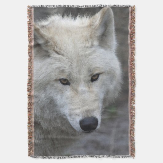 Couverture Wolf 001 (devant Vertical)
