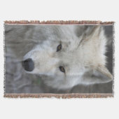 Couverture Wolf 001 (Devant)