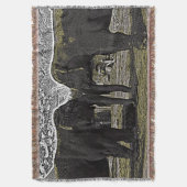 Couverture Yeux éléphants (devant Vertical)