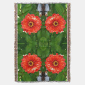 Couverture Zinnia orange (devant Vertical)