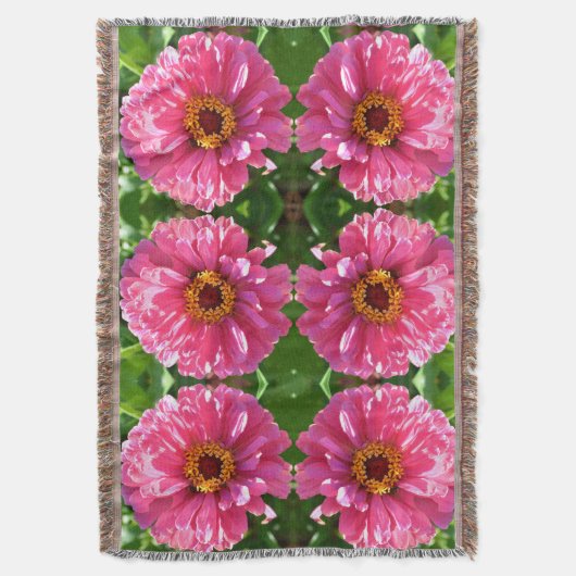 Couverture Zinnia rose (devant Vertical)