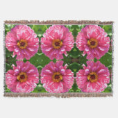 Couverture Zinnia rose (Devant)