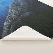 Couvertures Bubblepacific (3/4)