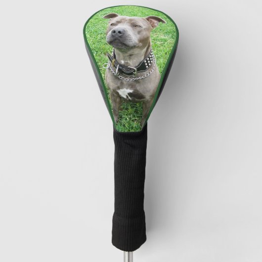 Couvre-club De Golf Adult Staffordshire Bull Terrier Golf Driver Cover (Devant)