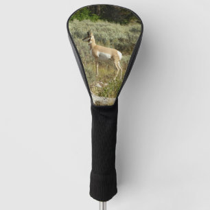 Couvre-club De Golf Antilocapre dans le parc national de Grand Teton