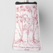 Couvre-club De Golf Art botanique Vintage rose (Tourné à 90°)