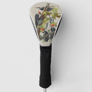 Couvre-club De Golf Art vintage d'Audubon représentant un Pic à tête r