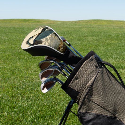 Couvre-club De Golf Audubon Louisiana Heron Birds America Art (In Situ)