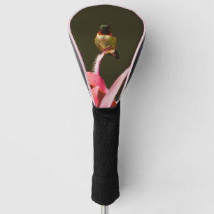 Couvre-club De Golf Balance des colibris