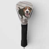 Couvre-club De Golf Beagle_puppy assis (Devant)