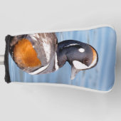 Couvre-club De Golf Beau canard arlequin sur le rocher (Devant)