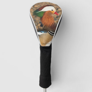 Couvre-club De Golf Beau canard Mandarin sur les rochers