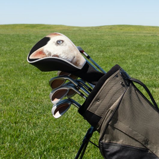 Couvre-club De Golf Beau Chien Husky Sibérien Blanc (In Situ)