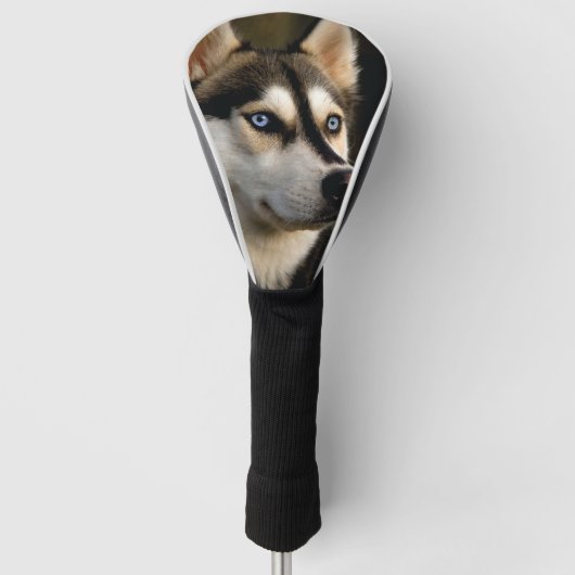 Couvre-club De Golf Beau Oreiller Husky Lrow (Devant)
